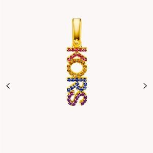 Michael Kors Earrings and Charm